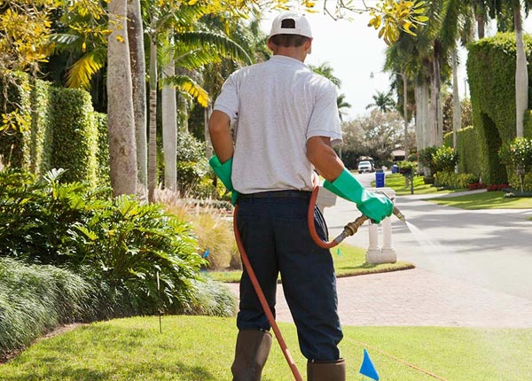 About White Sulphur Springs NY Pest Control Pros